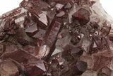 Natural, Red Quartz Crystal Cluster - Morocco #232856-2